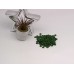 Пуговицы мини  пластик- цвет зелёный 0,5 см